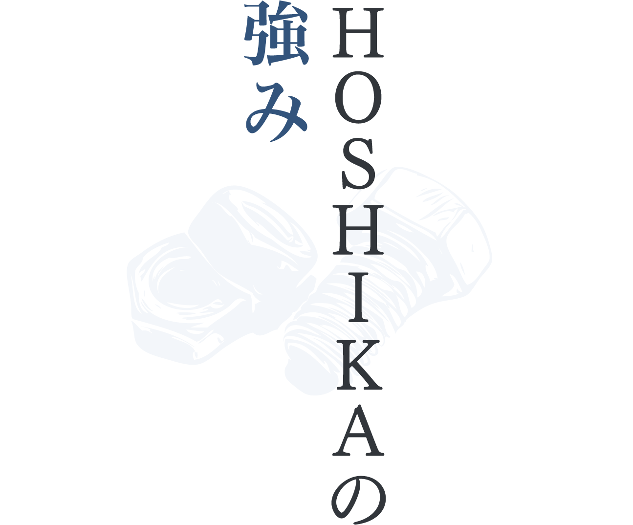 HOSHIKAの強み